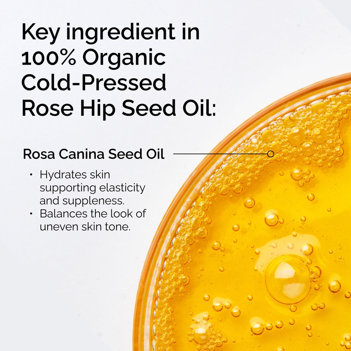 100-organic-cold-pressed-rose-hip-seed-oil-y5 FY25-D41247-ORD-Web-PDP-100-Rose-Hip-Oil-1x1-EN-2.jpg