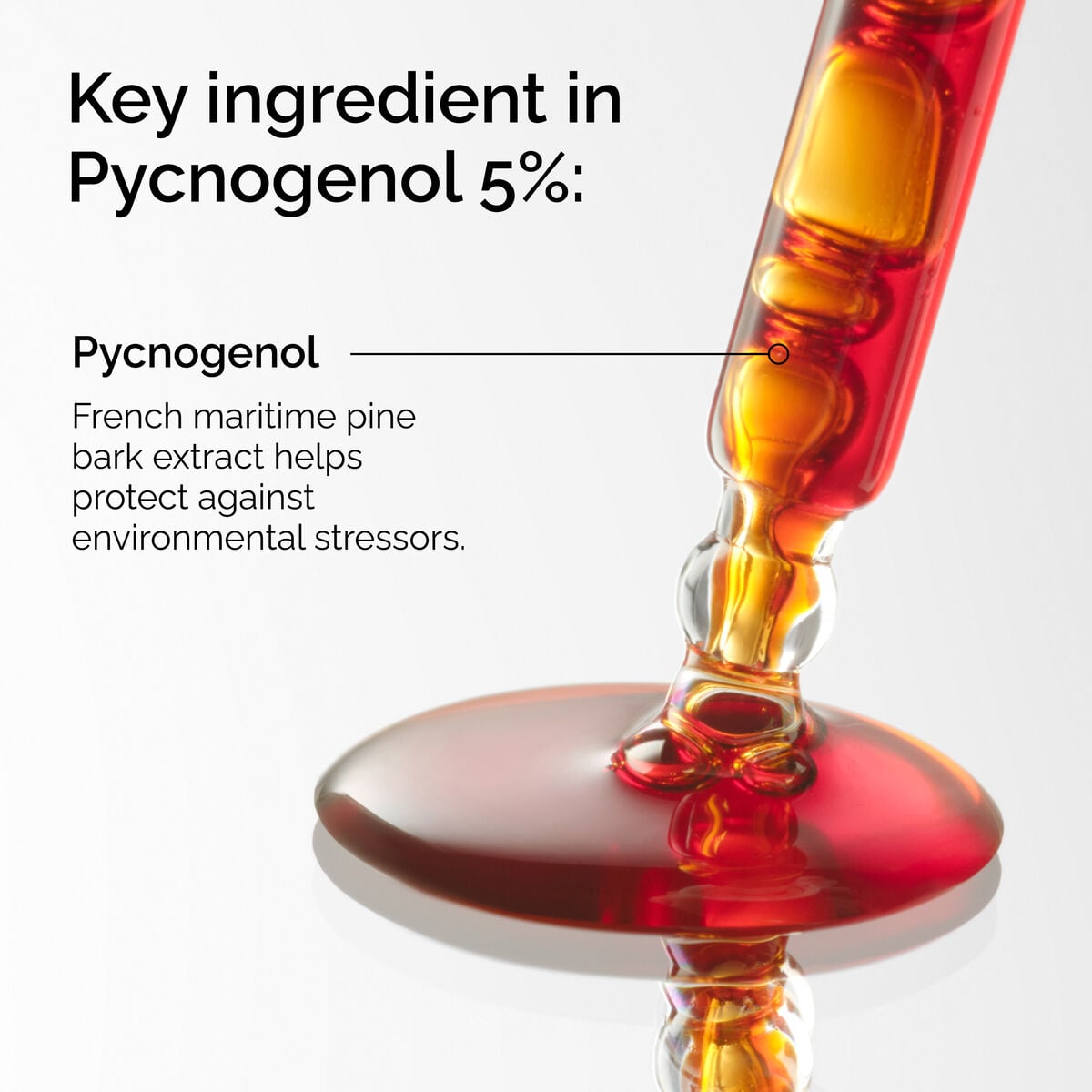 pycnogenol-5-b5 FY25-D41247-ORD-Web-PDP-Pyc-5pct-1x1-EN-2a.jpg