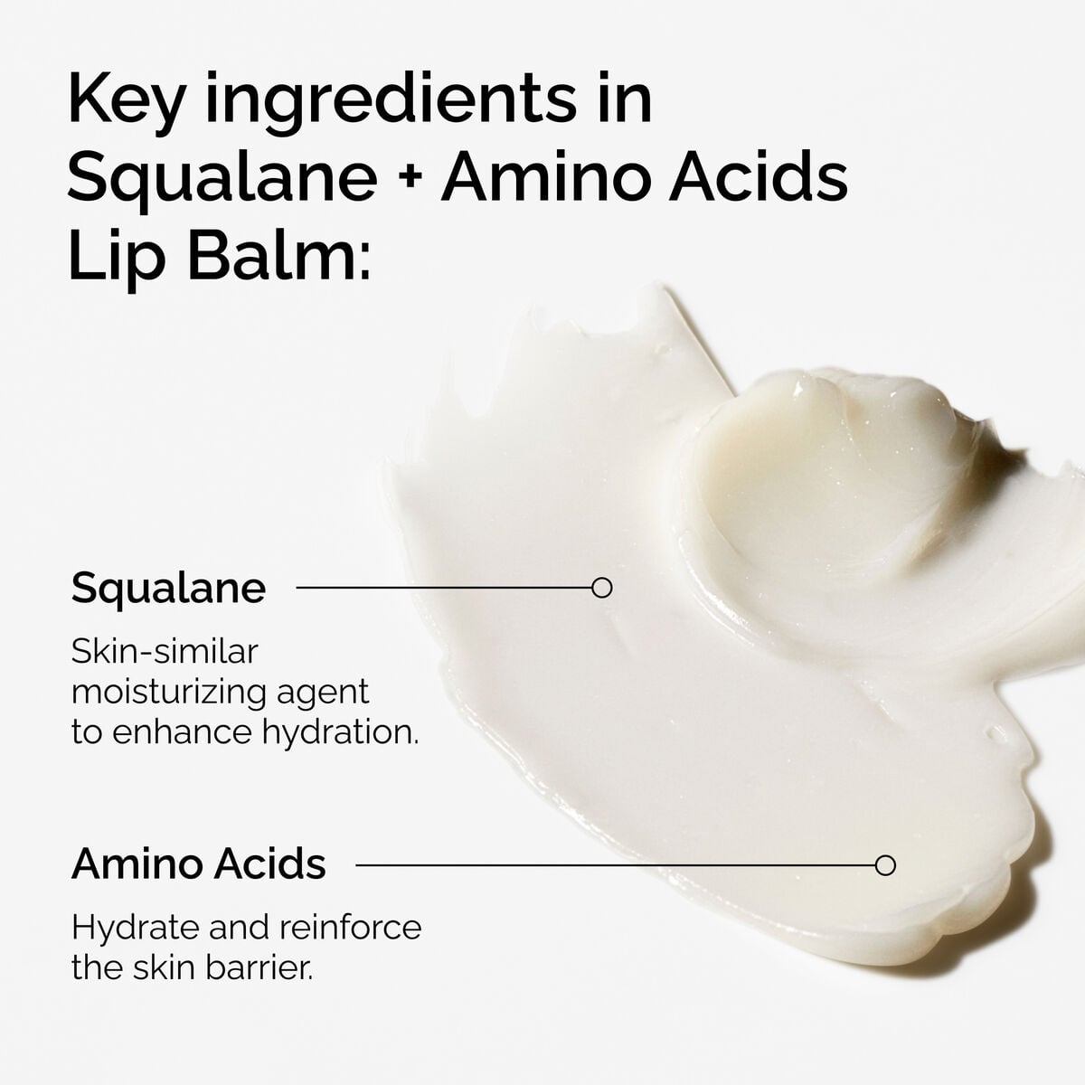 squalane-amino-acids-lip-balm-u6 FY25-D41247-ORD-Web-PDP-Sql-Amino-Lip-1x1-EN-2a.jpg