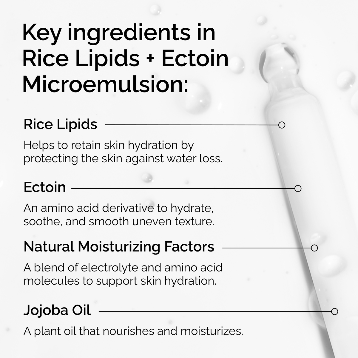 rice-lipids-ectoin-microemulsion-x2 ord-rice-lipids-ectoin-microemulsion-key-ingredients.png