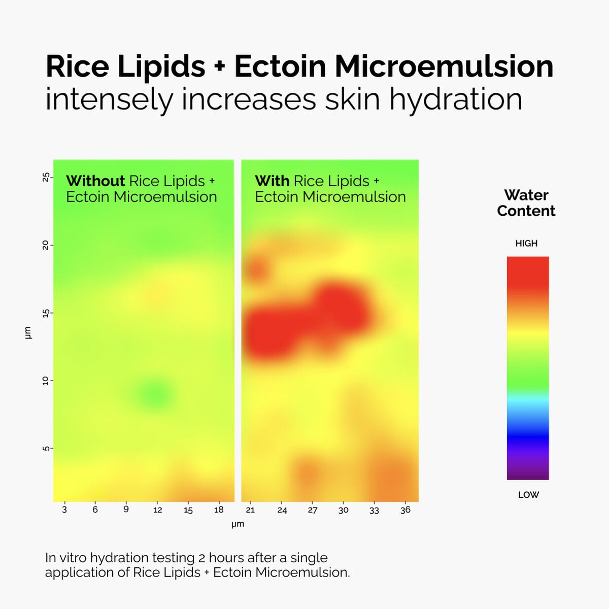 rice-lipids-ectoin-microemulsion-x2 ord-rice-lipids-ectoin-microemulsion-thermal-before-after.jpg